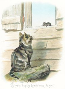 Gato atigrado mirando a un ratón de English School