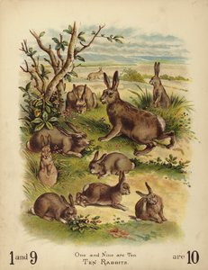 Diez conejos (cromolito)