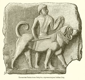 Tabla de terracota de Babilonia, representando un perro indio