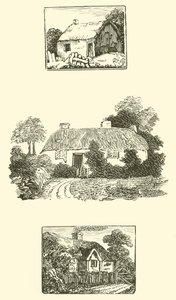 Cabañas de paja de English School