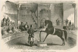 El caballo americano Águila Negra en el Palacio Alhambra (Teatro Alhambra), Leicester Square, Londres de English School