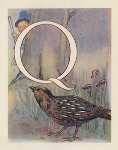 El abecedario animal: Letra Q, Codorniz (litografía en color) de English School