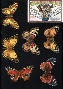 Las Mariposas Animadas, Divertidas, Decorativas y Educativas, Una Novedad Sorprendente y Realista de English School