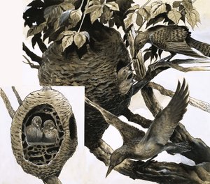 La hormiga y el pájaro carpintero