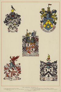 El escudo de armas (litografía en color)