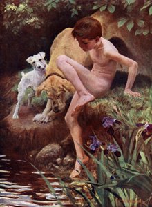 Los bañistas - niño y perros nadando