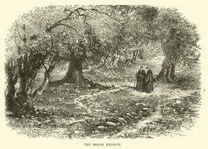 El Arroyo Cedrón