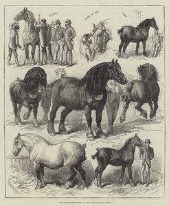 La Exposición de Caballos de Tiro en el Salón Agrícola de English School