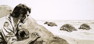 Los náufragos: Terror en la Isla de las Tortugas