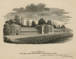 El Conservatorio en el Jardín Botánico, Kew, Londres de English School
