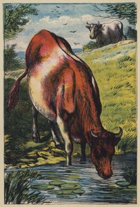 La vaca (litografía en color)
