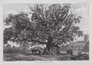 El roble de Cowthope (grabado) de English School