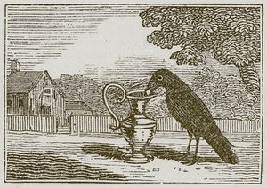 El cuervo y el cántaro (grabado) de English School