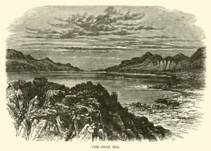El Mar Muerto de English School
