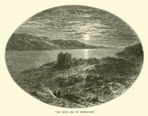 El Mar Muerto a la luz de la luna de English School