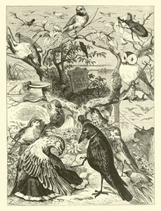 La muerte y el entierro de Cock Robin de English School
