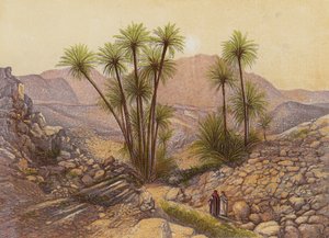El desierto del Sinaí (litografía en color) de English School