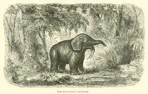 El Dinotherium, restaurado de English School