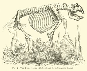 El Diprotodon