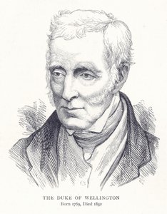 El Duque de Wellington de English School