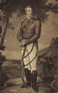 El Duque de Wellington de English School