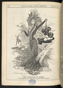 La "Extinción" de las Especies; O, la dama de moda sin piedad y las garcetas, de 