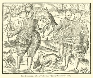 El Halconero de English School