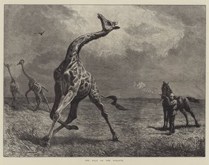 La caída de la jirafa de English School