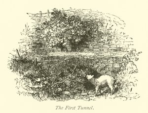 El primer túnel de English School