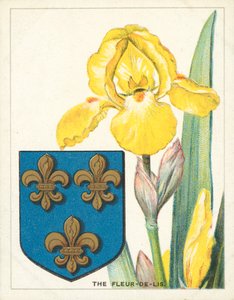 La flor de lis (cromolito)