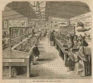 El Museo de Alimentos y Productos Animales, Museo de South Kensington de English School