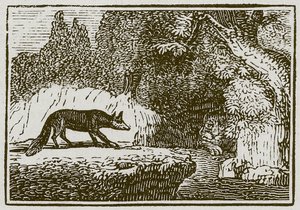 La zorra y el león enfermo (grabado) de English School