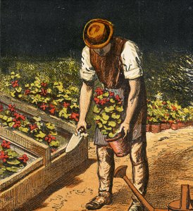 El Jardinero, 1867 de English School