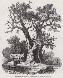 El Roble del Evangelio, Stonleigh, Warwickshire de English School