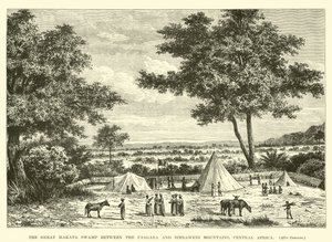 El Gran Pantano de Makata entre las Montañas Usagara y Simbaweni, África Central de English School