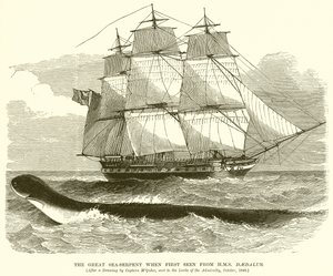 La gran serpiente marina vista por primera vez desde el H.M.S. Daedalus de English School