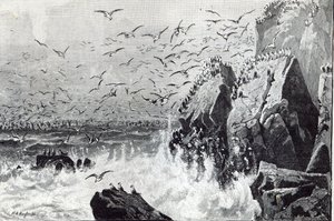 El refugio de las gaviotas, de 