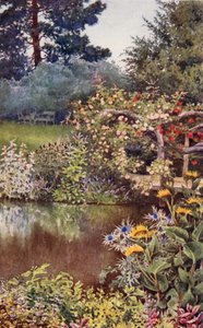 El jardín de hierbas: Hierbas junto al agua (litografía en color) de English School