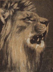 El Rey del Bosque (grabado en color) de English School