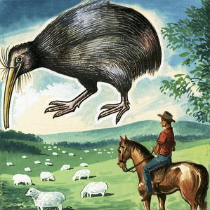 El Kiwi, emblema de Nueva Zelanda de English School