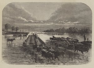 La Tierra del Petróleo, Transporte de Barriles en Oil Creek (grabado) de English School