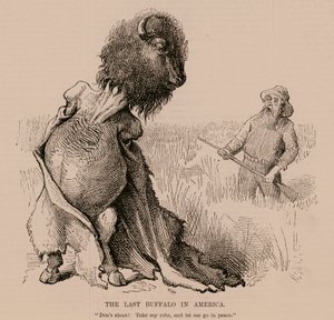 El último búfalo de América (grabado) de English School