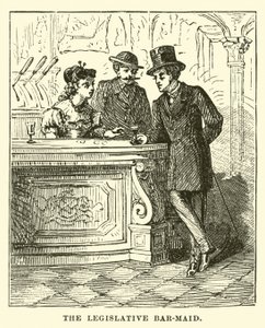 La camarera legislativa de English School