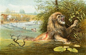 El león - 