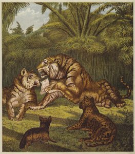 La recepción del león de English School