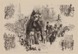 The Lord Mayor