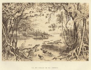 El Ma-Robert en el Zambezi