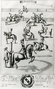 El Caballo Domado, de 