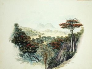 Las montañas, Ceilán de English School