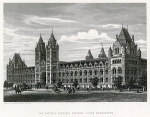 Museo de Historia Natural, 1881 de English School